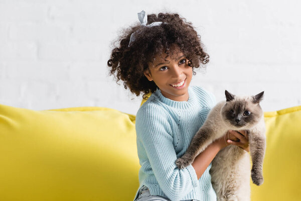 Happy curly girl holding siamese cat and sitting on sofa at home