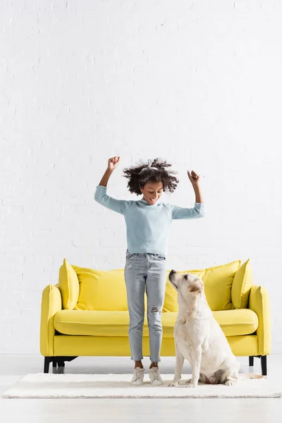 Smiling African American Girl Hands Air Standing White Rug Labrador — Stock Photo, Image