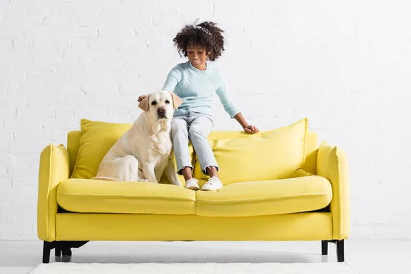 Smiling African American Girl Stroking Looking Labrador While Sitting Back — Zdjęcie stockowe