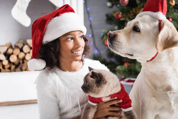 Smiling african american girl in santa hat looking at labrador dog while holding fluffy cat on blurred background — Stock Image Smiling African American Girl Santa Hat Looking Labrador Dog While Stock Image