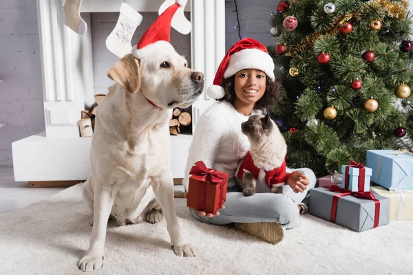 Happy african american girl holding gift box while sitting with dog and cat near christmas tree — Stock Image Happy African American Girl Holding Gift Box While Sitting Dog Royalty Free Stock Photos