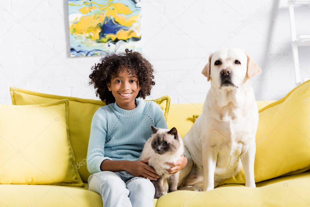 Smiling curly girl looking at camera, while sitting with labrador and siamese cat on yellow sofa at home