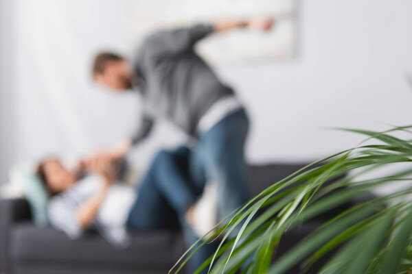 Leaves of plant and husband beating wife on blurred background at home 