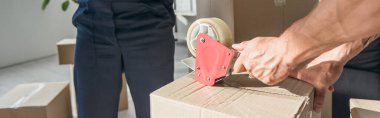 cropped view of mover packing box while coworker on blurred background, banner clipart