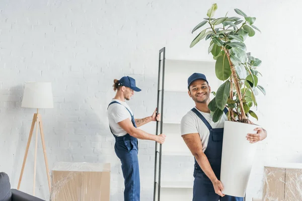 Alegre Indiana Mover Segurando Planta Verde Perto Colega Trabalho Carregando — Fotografia de Stock