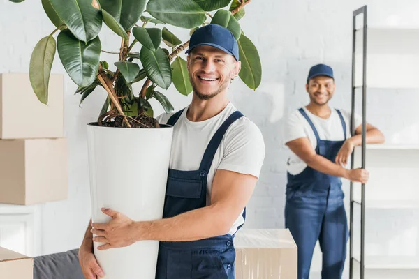 Joyeux Déménageur Tenant Usine Verte Près Collègue Indien Debout Près — Photo