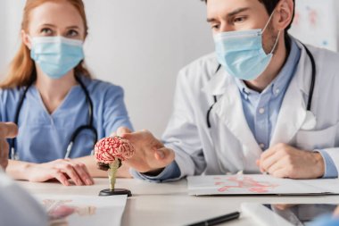 Tıp maskeli doktor, iş yerinde meslektaşlarının yanında otururken beyin anatomik modeline dokunuyor.