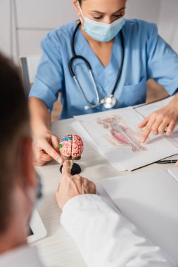 Çok ırklı hastane personeli beyin anatomik modelini ve iş yerindeki bulanık ön plandaki resmi işaret ediyor.