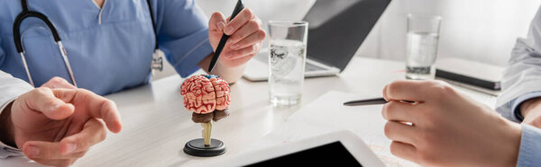 Cropped view of nurse pointing with pen at brain anatomical model near colleagues at workplace with devices, banner