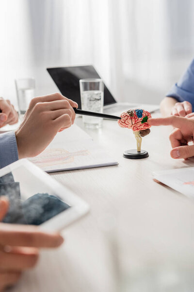 Doctors pointing with finger and pen at brain anatomical model at workplace with devices on blurred foreground