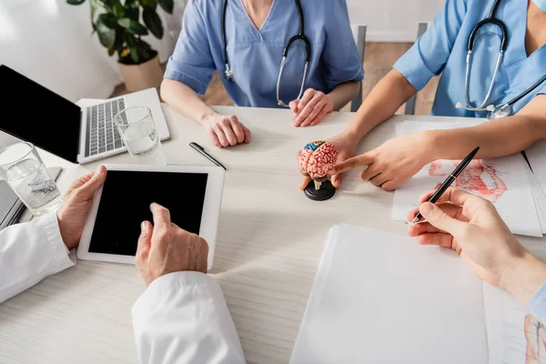 Cropped View African American Nurse Pointing Finger Brain Anatomical Model — Stock Photo, Image