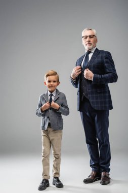 mature businessman with grandson in formal wear touching blazers while looking at camera on grey clipart