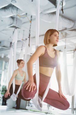 Sinek yoga pozu veren genç sporcu kadınlar yoga hamakları, bulanık arka plan.