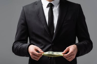 Resmi giyinmiş işadamlarının kısmi görünüşü gri üzerinde dolarlarla izole edilmiş.