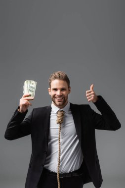 joyful businessman with rope on neck holding money and showing thumb up isolated on grey clipart