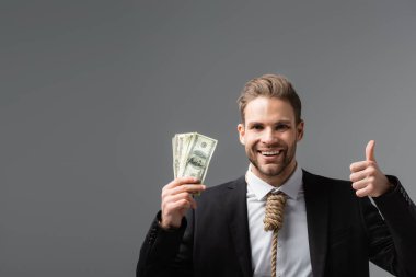 İpten yapılmış kravatlı neşeli iş adamı dolarları tutuyor ve gri renkte izole edilmiş gibi görünüyor.