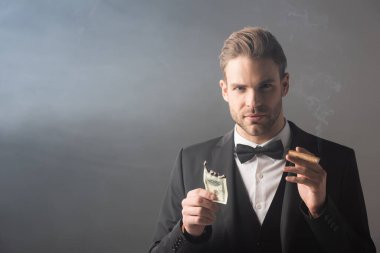 elegant businessman holding burned dollar banknote and cigar on grey background with smoke clipart