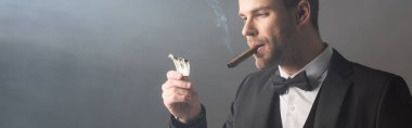 Başarılı bir iş adamı puro içiyor ve elinde yanmış dolar banknotları var. Gri arka planda duman ve afişle birlikte.