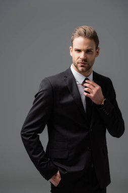 Kendine güvenen bir işadamı, kravatını düzeltirken, cebinde gri ile dikiliyor.