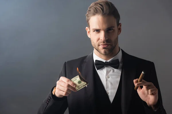 Förmögen Affärsman Som Håller Cigarr Och Brinnande Dollarsedel Grå Bakgrund — Stockfoto