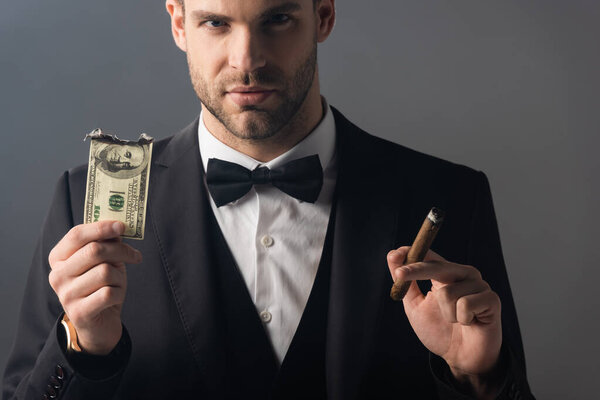 businessman looking at camera while holding cigar and burned dollar banknote isolated on grey