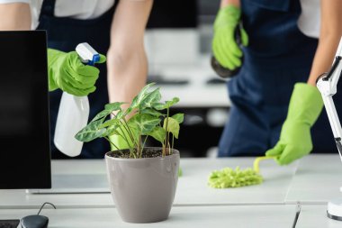 Ofiste fabrikanın yanında deterjan tutan kuru temizleme manzarası 