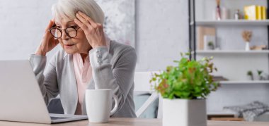 Odaklanmış yaşlı kadın, bardağın yanındaki dizüstü bilgisayara bakıyor. 