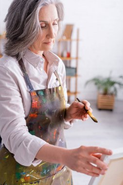 Orta yaşlı bir kadın tuval ile boya fırçası tutuyor. 