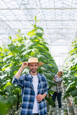 happy farmer in straw hat looking at camera near african american colleague working in glasshouse on blurred background clipart