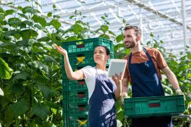 farmer holding plastic box near african american colleague pointing with hand in greenhouse clipart