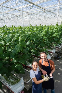 Glasshouse 'daki Afro-Amerikan meslektaşının yanındaki dijital tableti gösteren gülümseyen çiftçinin yüksek açılı görüntüsü