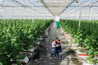 Glasshouse 'daki dijital tablete bakan ırklar arası çiftçilerin yüksek açılı görüntüsü