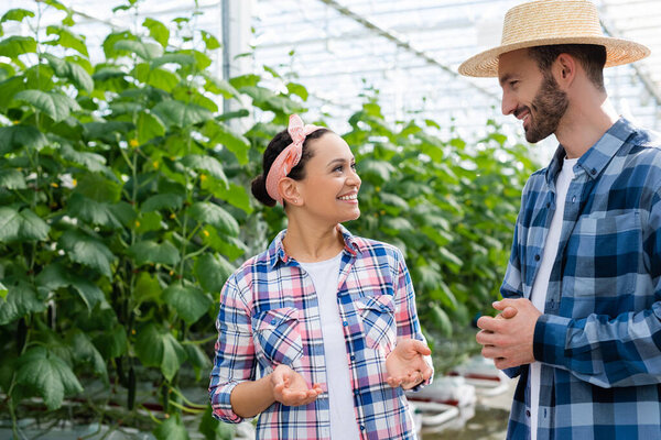 улыбающийся африканский фермер-американец жестикулирует, разговаривая с коллегой в теплице