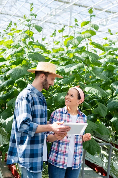 Farmer Holding Digital Tablet Cheerful African American Colleague Greenhouse — Stock Photo, Image