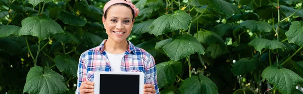 Cheerful African American Farmer Plaid Shirt Holding Digital Tablet Blank — Stock Photo, Image