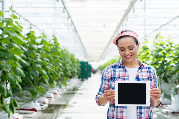 Mosolygó Afro Amerikai Farmer Mutatja Digitális Tabletta Üres Képernyő Üvegházban — Stock Fotó