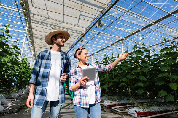 joyful african american farmer pointing at green plants near smiling colleague
