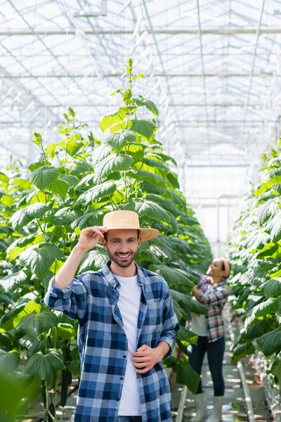 happy farmer in straw hat looking at camera near african american colleague working in glasshouse on blurred background