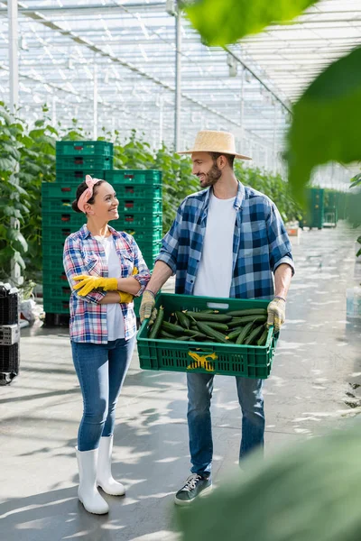 Agriculteur Tenant Boîte Plastique Avec Des Concombres Frais Près Souriant — Photo