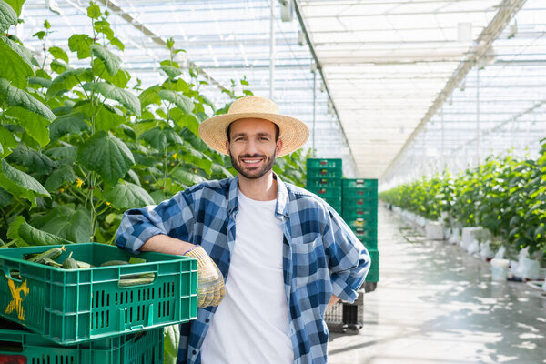 smiling farmer standing near plastic box with fresh cucumbers in greenhouse