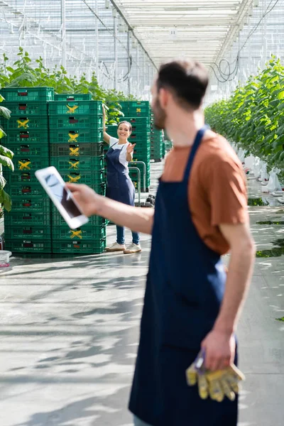 African American Farmer Pointing Hand Colleague Digital Tablet Blurred Foreground — Stock Photo, Image