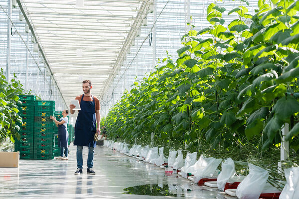 farmer looking at digital tablet near african american colleague working on blurred background