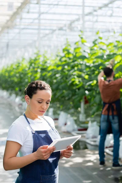 African American Farmer Holding Digital Tablet Colleague Working Blurred Background — Stock Photo, Image