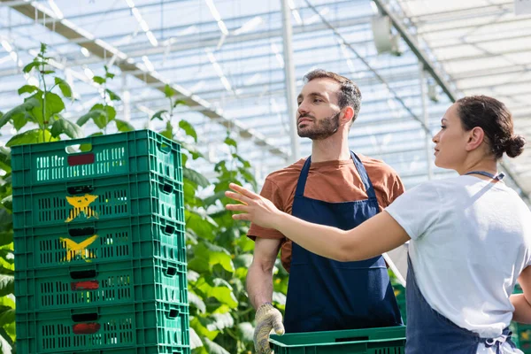 African American Woman Pointing Plastic Boxes Farmer Greenhouse — Stock Photo, Image