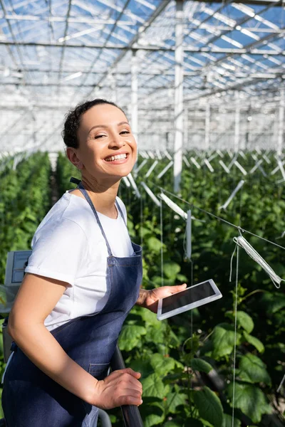 Aufgeregter Afrikanisch Amerikanischer Bauer Mit Digitalem Tablet Lächelt Glashaus Die — Stockfoto