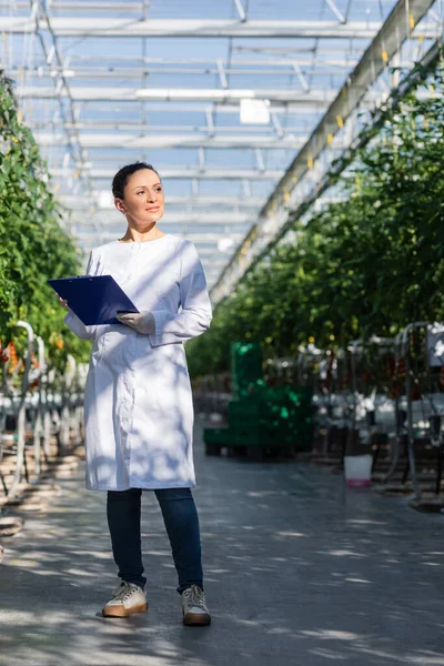 Afro-Amerikan kalite müfettişi elinde panoyla cam evde dikilirken gözünü kaçırıyor.