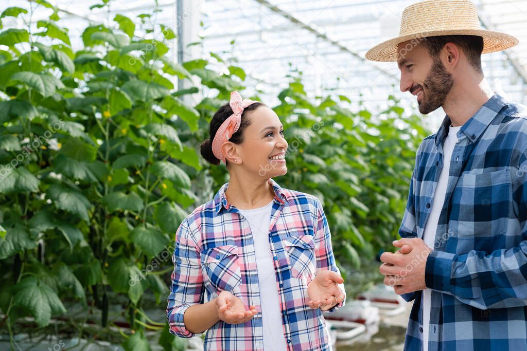 smiling african american farmer gesturing while talking to colleague in greenhouse