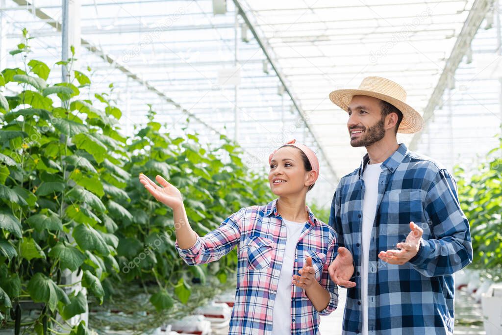 african american woman pointing at plants in glasshouse near smiling farmer