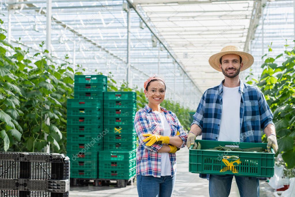 happy farmer holding box with fresh cucumbers near african american colleague