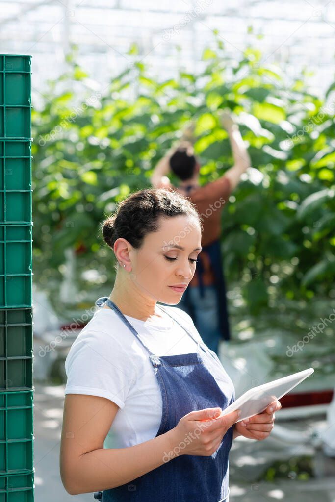 african american woman standing with digital tablet near farmer working in greenhouse on blurred background